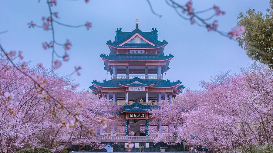 鼋头渚.jpeg