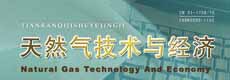 天然气技术与经济